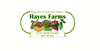Hayes Farm Final Logo Image